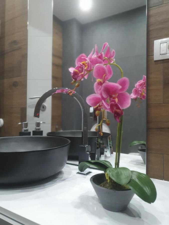 Apartmán Ale House Oradea Exteriér fotografie